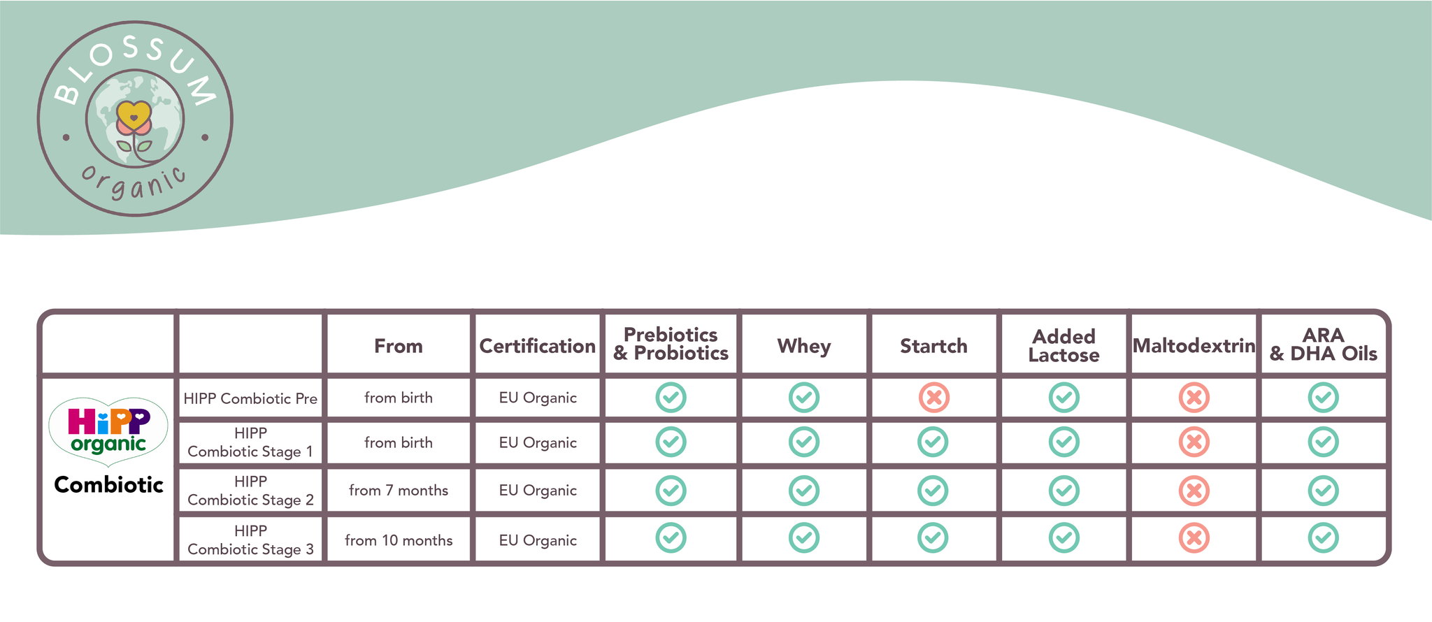 HiPP Stage 2 Organic Follow-on Formula Combiotik® (6 Months+) - Blossum
